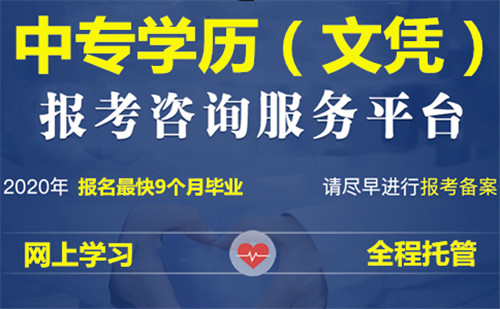 報名電大中專多久能查到學籍？