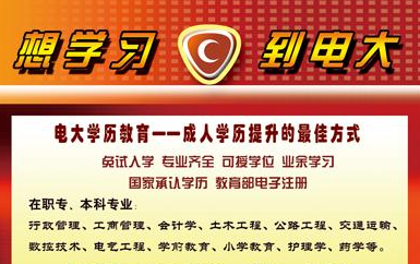 電大中專是什么意思