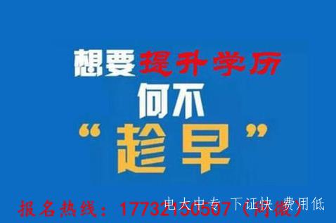 電大中專 電大中專