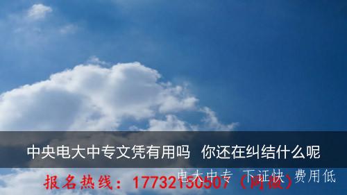电大中专文凭有用么？