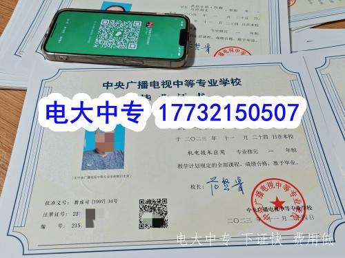 网上报名电大中专审核需要多久？