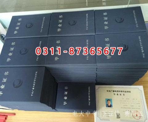 微信圖片_2025-09-11_143921_080 副本.JPG 微信圖片_2025-09-11_143921_080 副本.JPG